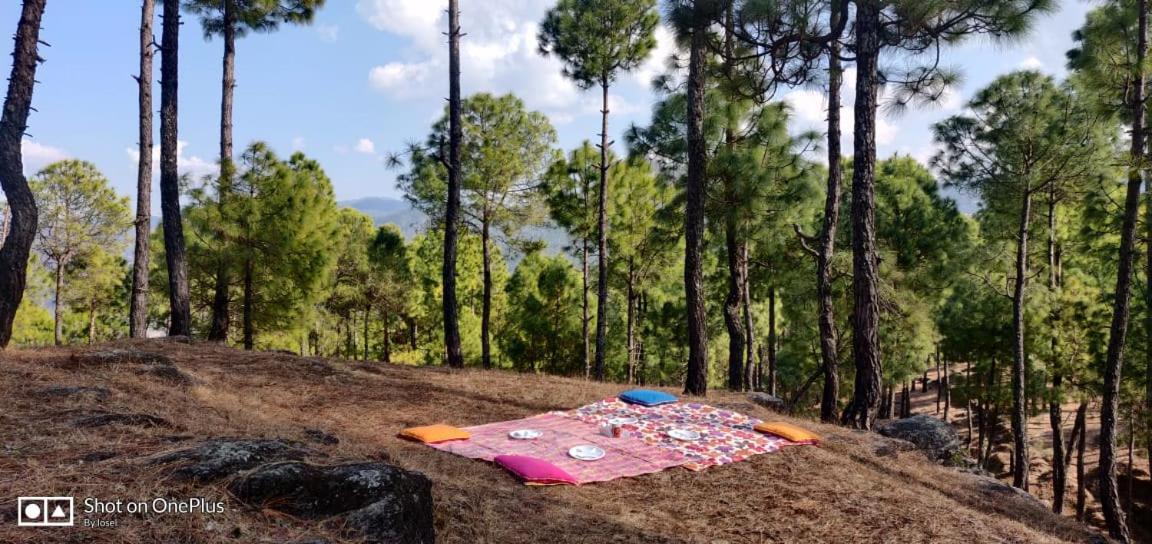 Seed At Queens Meadows, Ranikhet Extérieur photo